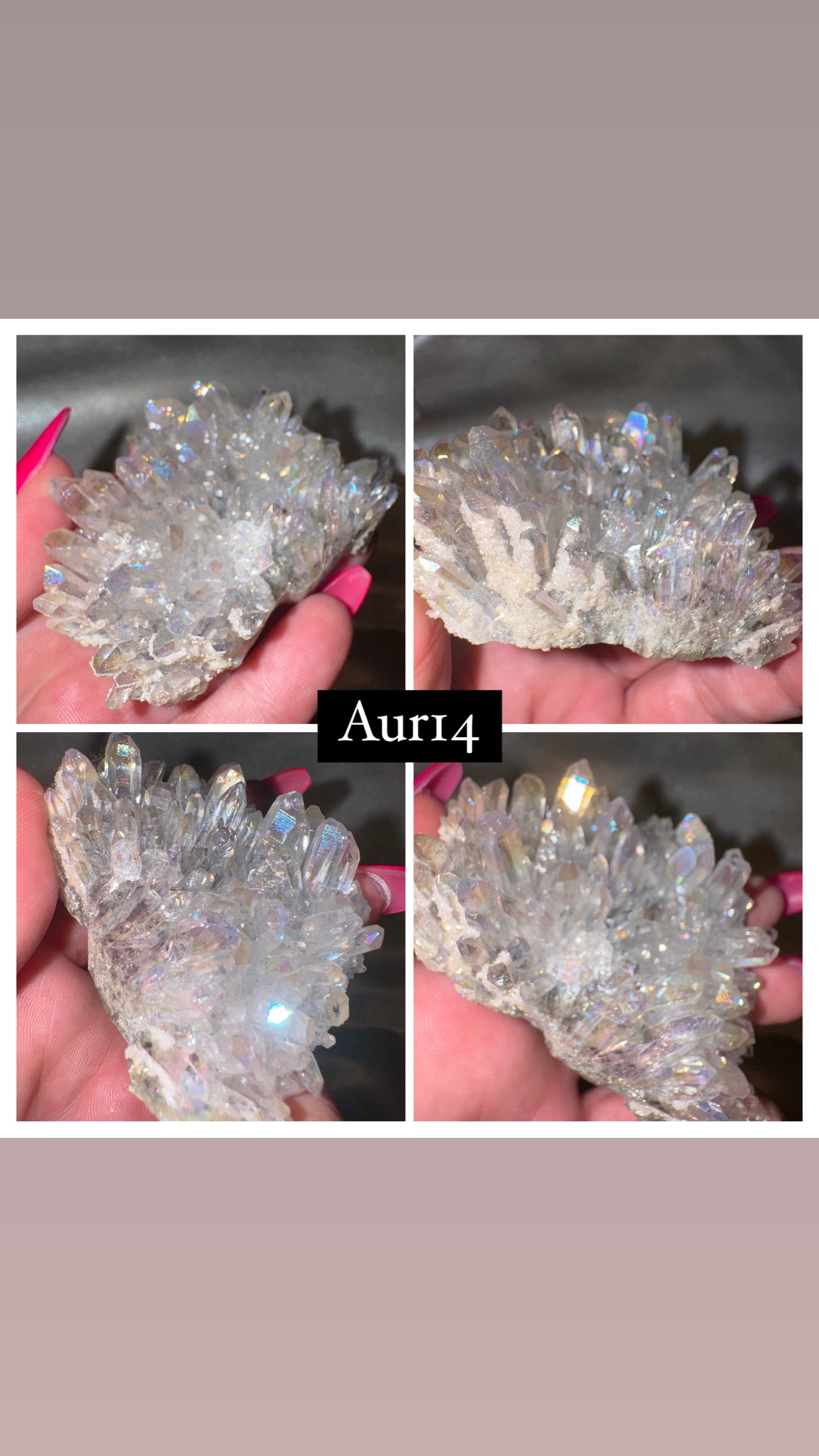 Aura Chrysanthemum Needle Quartz Specimen