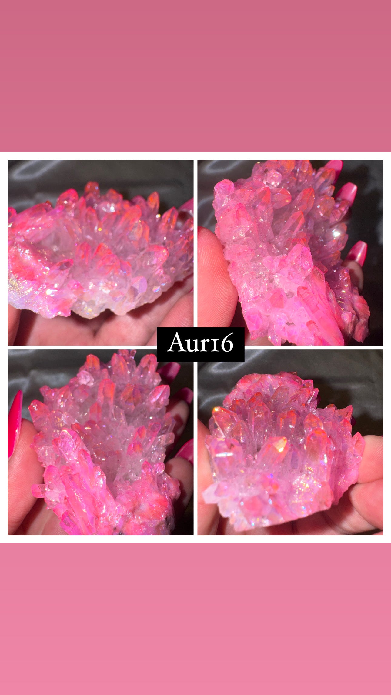 Aura Chrysanthemum Needle Quartz Specimen