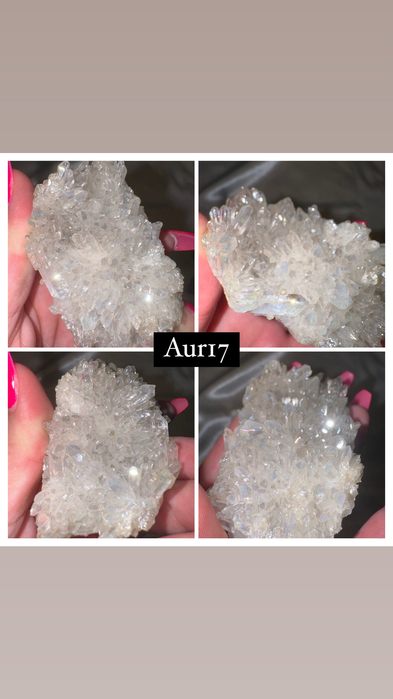 Aura Chrysanthemum Needle Quartz Specimen