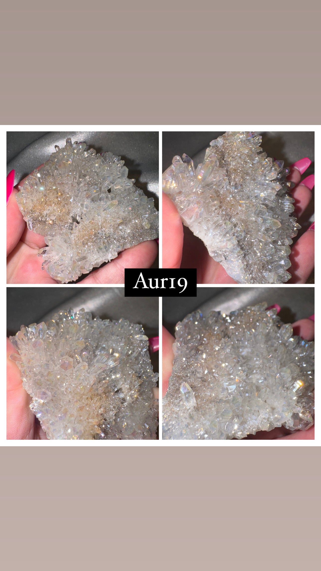 Aura Chrysanthemum Needle Quartz Specimen