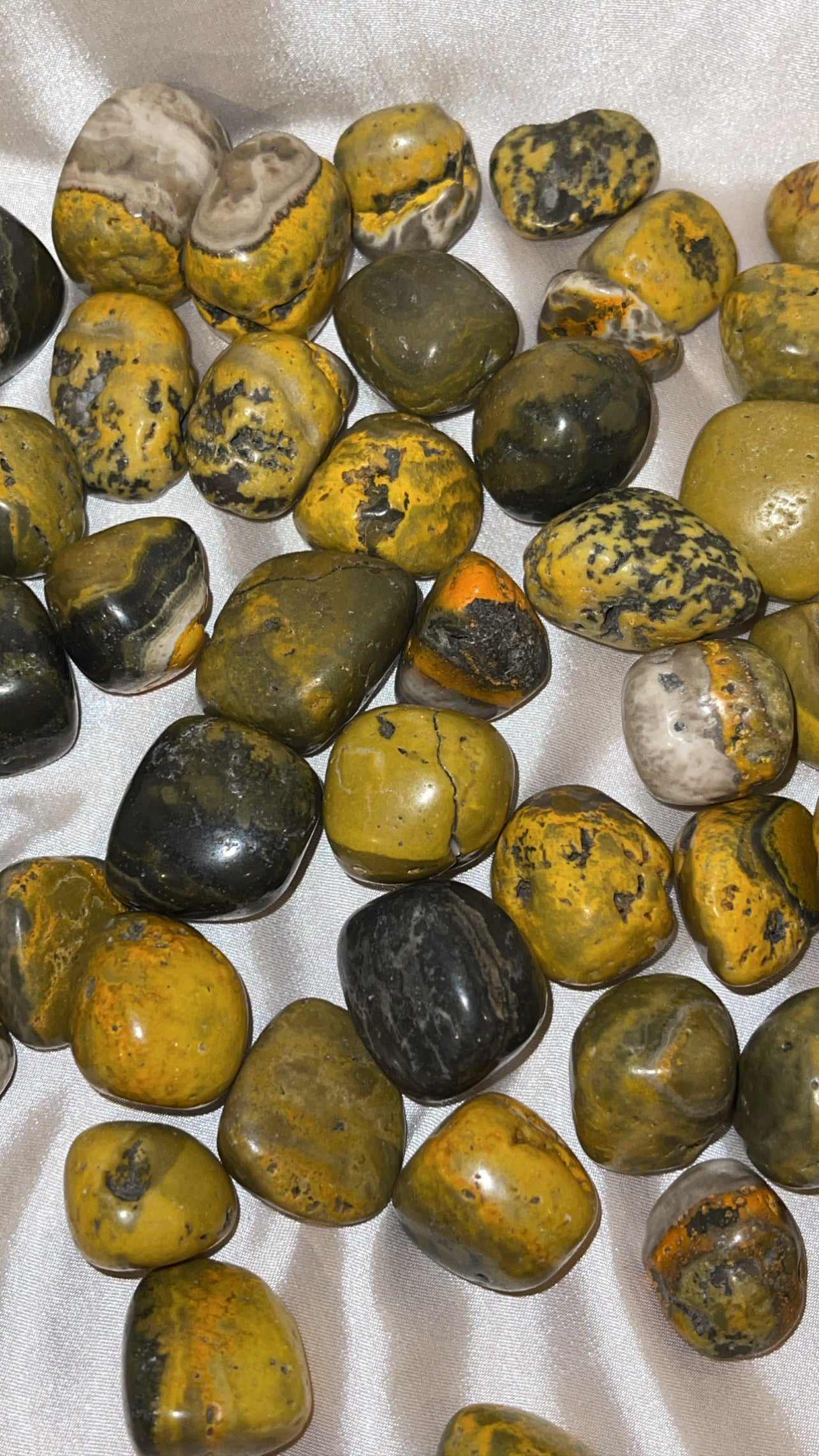 Bumblebee Jasper Tumble