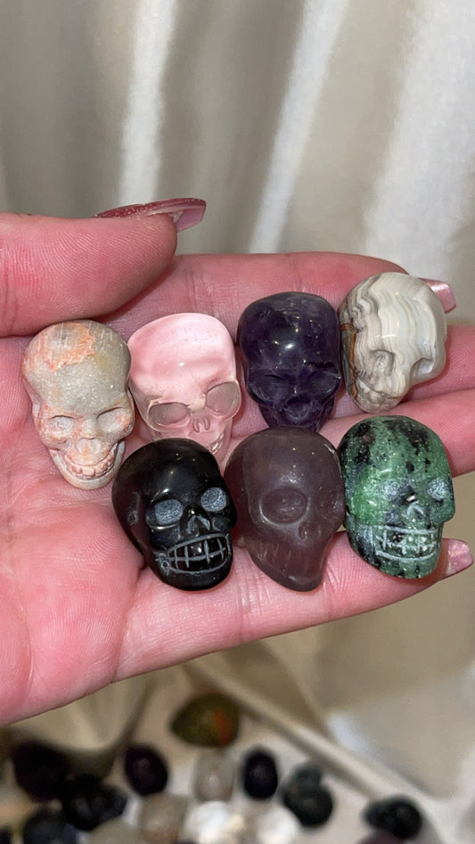 Variety Mini Skull