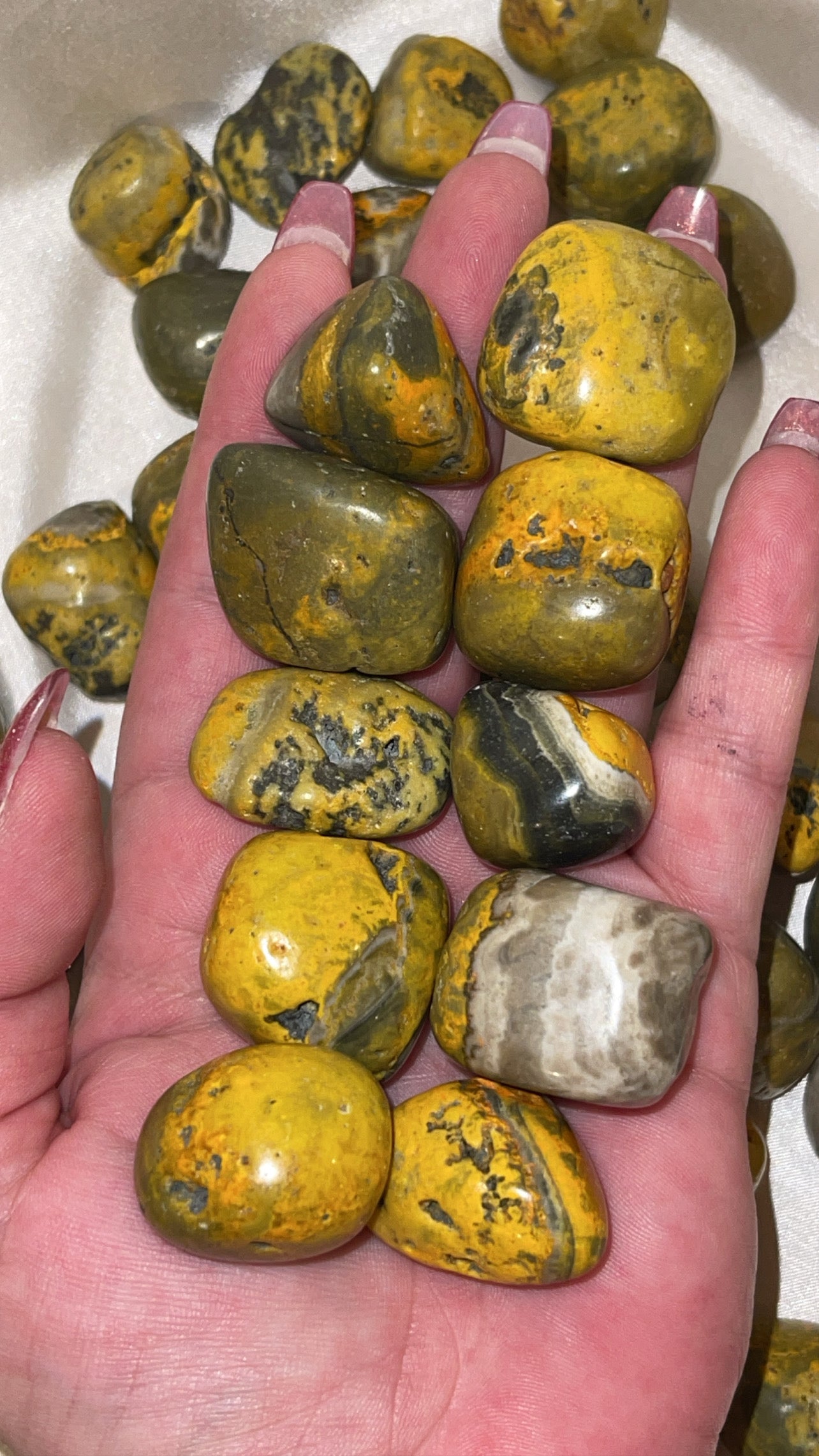 Bumblebee Jasper Tumble