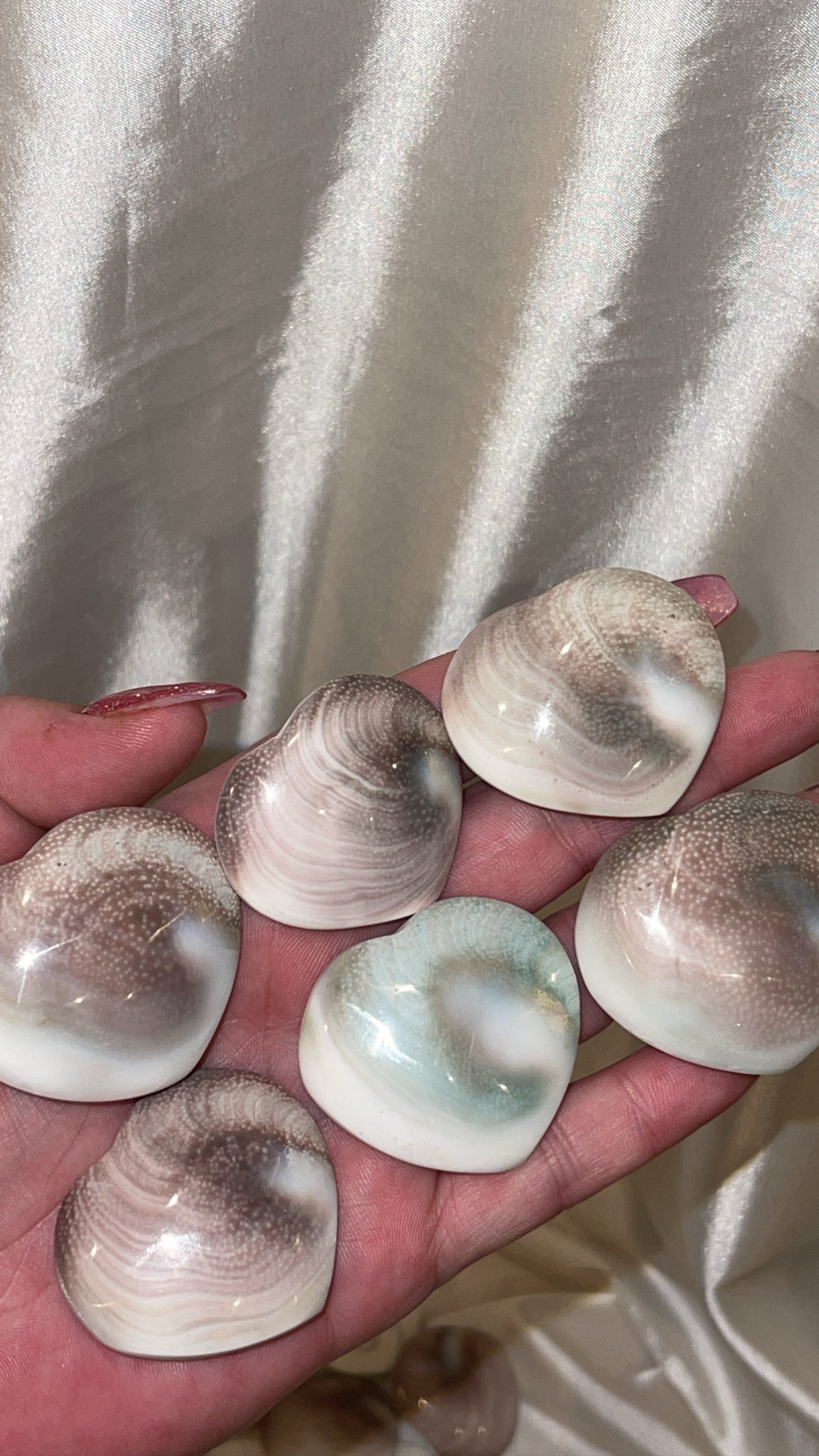 Shiva Shell Small Shiva shell heart – TheLithiumLair