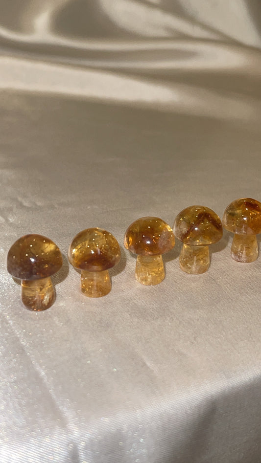 Citrine Mini Mushroom