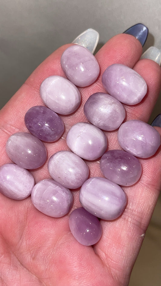 Kunzite Mini Jelly Bean