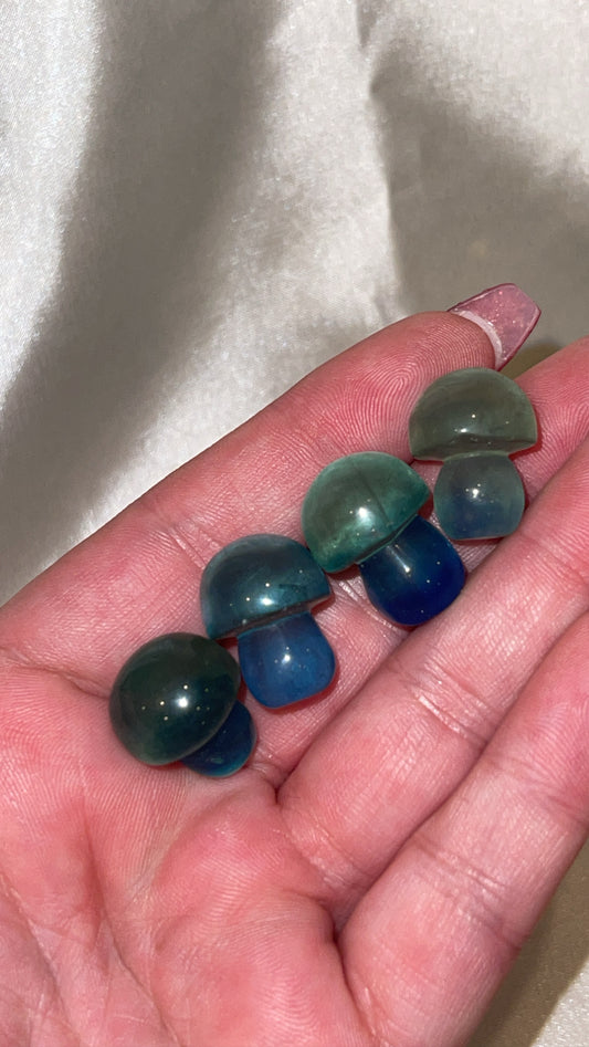 Blue/Green Fluorite Mini Mushroom