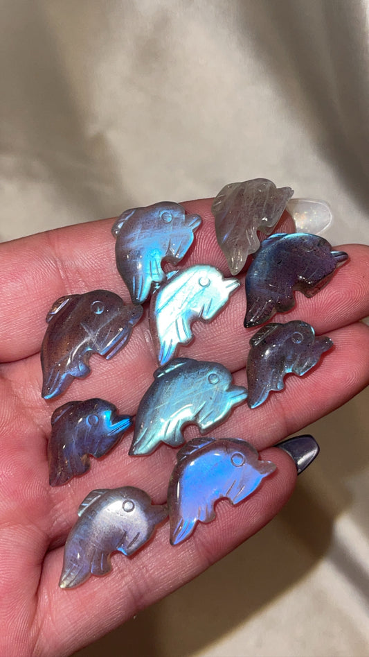 Labradorite Mini Dolphin