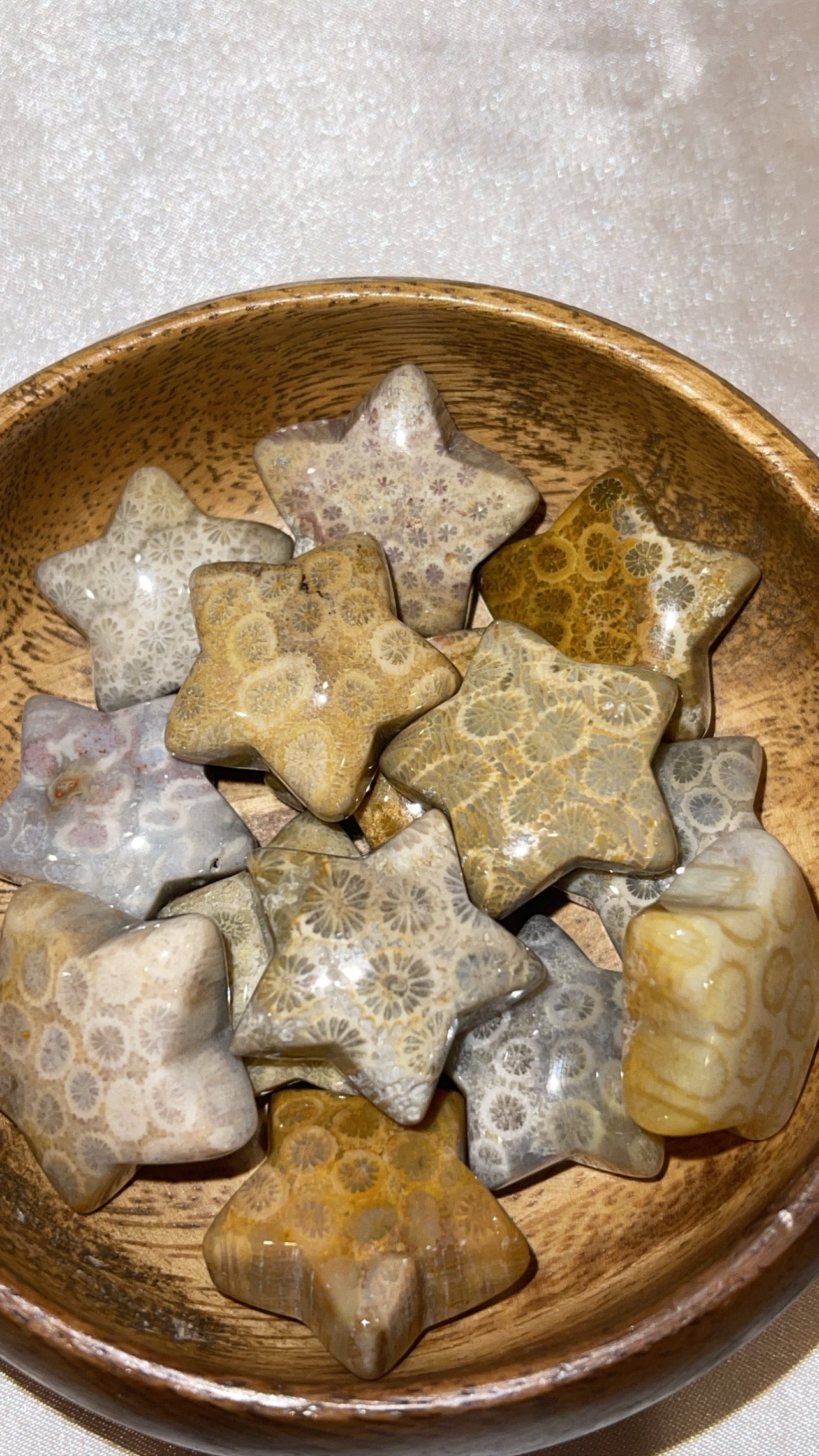 Coral Fossil Star