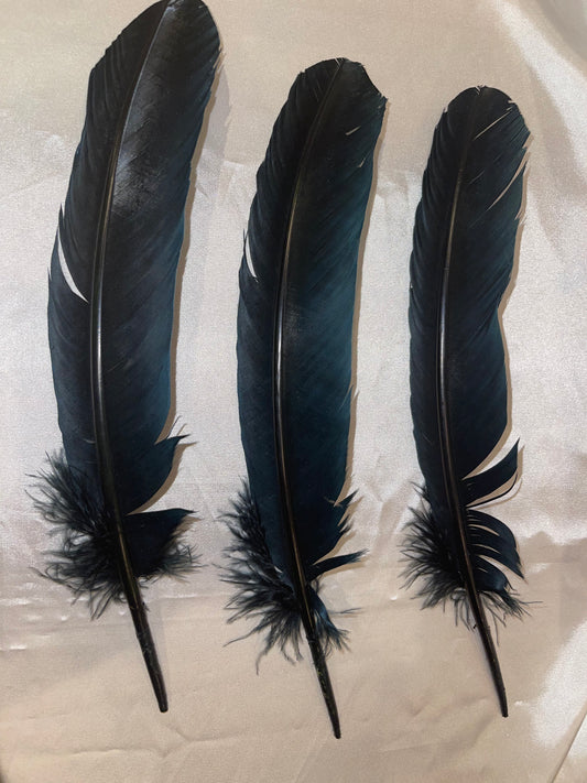 Large Iridescent Smudge Feather