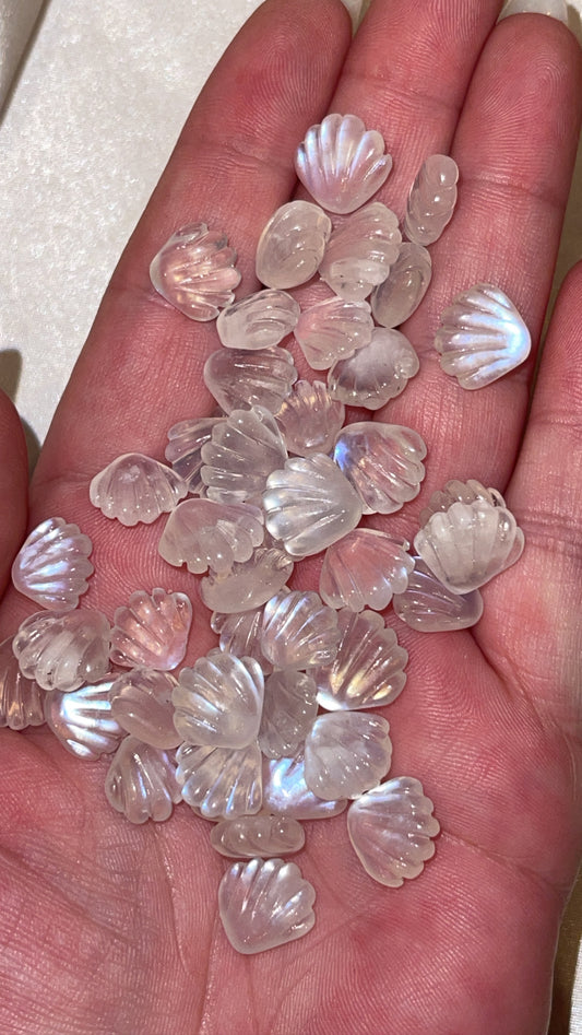 Rainbow Moonstone Mini Shell